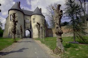 un viejo castillo con un árbol delante de él en Le Relais De Risquetout en Hem-Hardinval