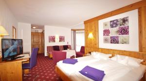 TV a/nebo společenská místnost v ubytování Hotel Schwarzenbergs Traube