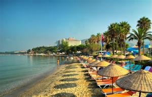a beach with chairs and umbrellas and the ocean at Ephesia Holiday Beach Club in Kusadası