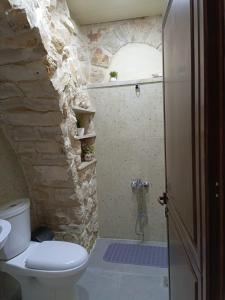 a stone bathroom with a toilet and a shower at Aal Aoudeh guesthouse in Dayr al Qamar