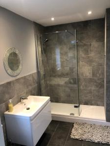 a bathroom with a shower and a sink and a tub at Studio Apartment with games room in Royal Wootton Bassett +34 photos