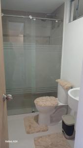 サンタ・マルタにあるSanta Marta Apartment with a poolのトイレとガラスのシャワー付きのバスルーム +8枚の写真