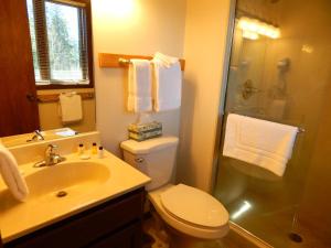 Un baño con inodoro, ducha y lavabo. en Timber Run, en Winter Park 25 fotos más