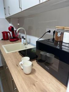 Kuchyň nebo kuchyňský kout v ubytování Ivanovic