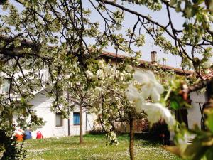 Galeriebild der Unterkunft Casa Romea in Cividale del Friuli