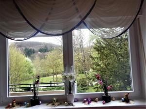 Κήπος έξω από το Ferienwohnung +10 φωτογραφίες