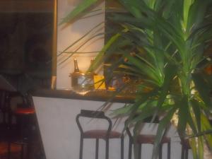 a counter with two chairs and a potted plant at Hotel Diplomat Palace in Rimini