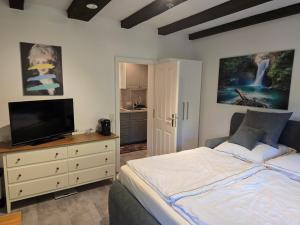 a bedroom with a bed and a flat screen tv at Ahauser Business- und Ferien-Appartement 29qm in Ahausen