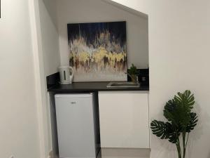 a kitchen counter with a sink and a painting on the wall at Brigstock 7 in Thornton Heath