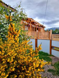 Una casa con flores amarillas delante de una valla. en Cabaña Aquiles, en Puerto Natales