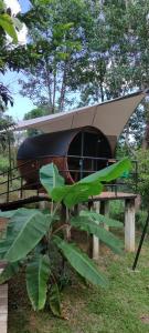 Κήπος έξω από το Glamping in jungle - Corcovado Nature Wonders - amazing views - available scooter