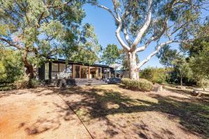 a home in the bush with a large tree at Arlo Beach House - Beachside, Pet Friendly, Fireplace in Somers