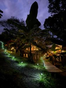 Κήπος έξω από το Glamping in jungle - Corcovado Nature Wonders - amazing views - available scooter