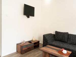 TV a/nebo společenská místnost v ubytování Family Comfort in Güntersberge
