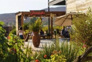 a patio with a table and an umbrella and some plants at Casa Frida in Valle de Guadalupe
