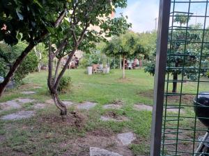 a tree in a field with a fence at Pohang Mimi House Pension in Pohang