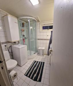 a bathroom with a shower and a toilet and a sink at Room In Handsome Haven House in Gjøvik +23 photos