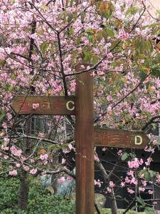 a wooden sign in front of a tree with pink flowers at Miaoli Sanyi Travelling Homestay in Sanyi