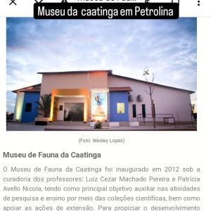 a screenshot of a webpage of a house at flet para temporadas in Petrolina +4 photos