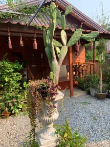 Zahrada ubytování K Khan Garden at Chiang Khan Walking Street