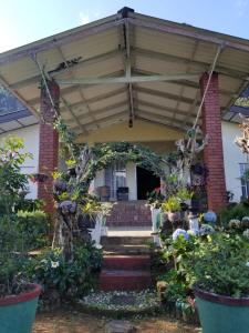 Gallery image of Knuckles View Holiday Home in Etagama