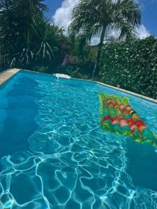 a swimming pool with a pillow in the water at Villa Kezia - Le Marin - Martinique in Le Marin