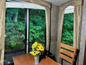 Zahrada ubytování Lakefront RV Cottage in Parry Sound #18