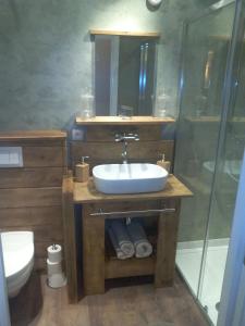 ein Bad mit einem Waschbecken und einer Dusche in der Unterkunft Bed and Breakfast Ros & Marc in Wezembeek-Oppem