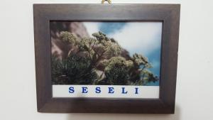 Fotografie z fotogalerie ubytování Isoladelmiele v destinaci Marettimo