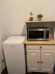 a microwave and a refrigerator in a kitchen at Delta Guest House in Delta