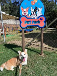 Haiwan peliharaan atau haiwan-haiwan peliharaan yang menginap dengan tetamu di Pousada Serra das Araucárias PetFriendly - CÃOFÉ da manhã Pet