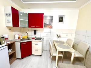 Kuchyň nebo kuchyňský kout v ubytování Belien Apartman