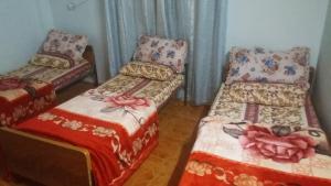 Krevet ili kreveti u jedinici u okviru objekta Sami Hostel