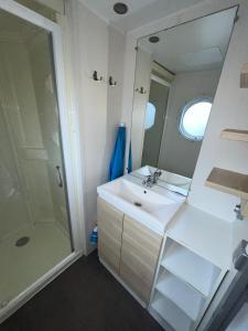 Koupelna v ubytování Camping Cobijo
