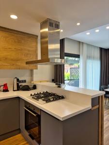 Dapur atau dapur kecil di Villa Bitirmiş 1