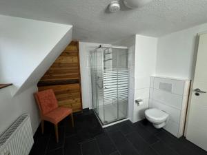 a bathroom with a toilet and a glass shower at Relaxing in Flachslanden