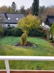 a garden with a small bush in the grass at Schäfers Fewo in Bad Arolsen