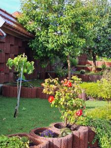 Taman di luar Romantik