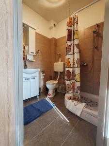 un baño con inodoro y ducha en Sun and river Apartments, en Golubac