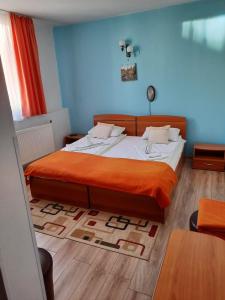 Postel nebo postele na pokoji v ubytování Pensiunea Paco + 24 fotografií