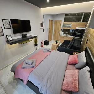 TV a/nebo společenská místnost v ubytování Central 5 Modern Apartment with free parking + 17 fotografií