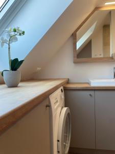 een badkamer met een toilet, een wastafel en een trap bij La Clé des vignes 2 in Ribeauvillé