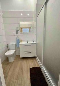 Un baño con lavabo, inodoro y espejo. en Apartamento Murcia San José D, en Murcia