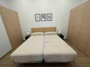 1 cama grande en un dormitorio con 2 armarios en Apartamento Murcia San José D, en Murcia
