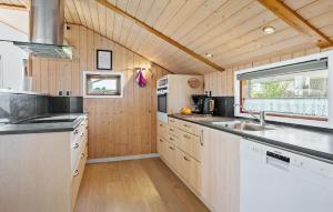 una cocina con fregadero y encimera en 3 Bedroom Awesome Home In Haderslev, en Haderslev