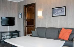 ヘムセダールにあるLovely Apartment In Hemsedal With Saunaのソファとテレビのあるリビングルーム