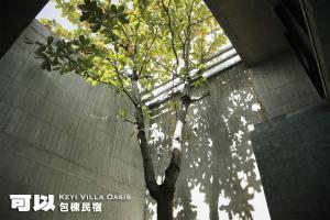 Fotografie z fotogalerie ubytování I Can v destinaci Dongshan