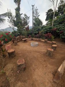 Zahrada ubytování Coorg Milestone Homestay