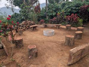 Zahrada ubytování Coorg Milestone Homestay