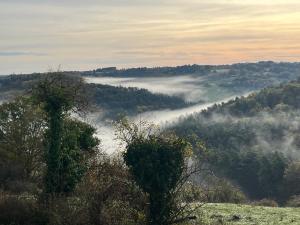 Příroda nedaleko prázdninového domu + 11 fotografií